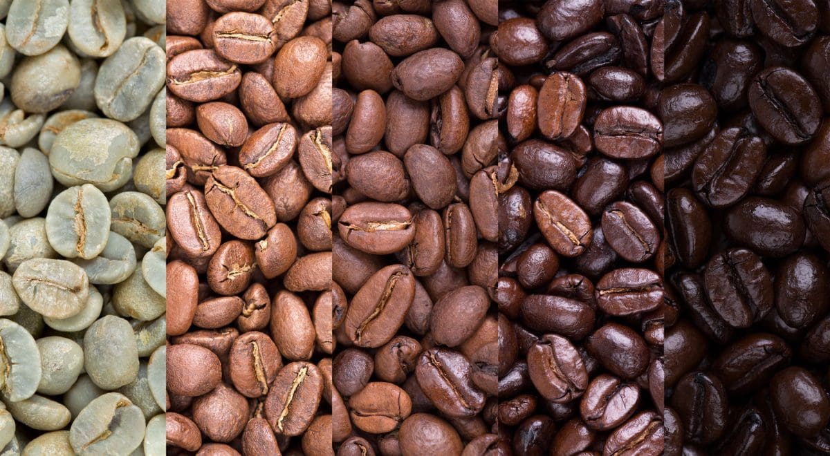 准备咖啡豆的各个阶段