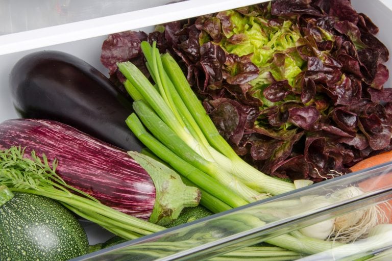 新鲜蔬菜在冰箱的底部——茄子要多长时间在冰箱(生的和熟的)交流